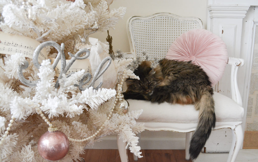 Cat sleeping by vintage Christmas tree