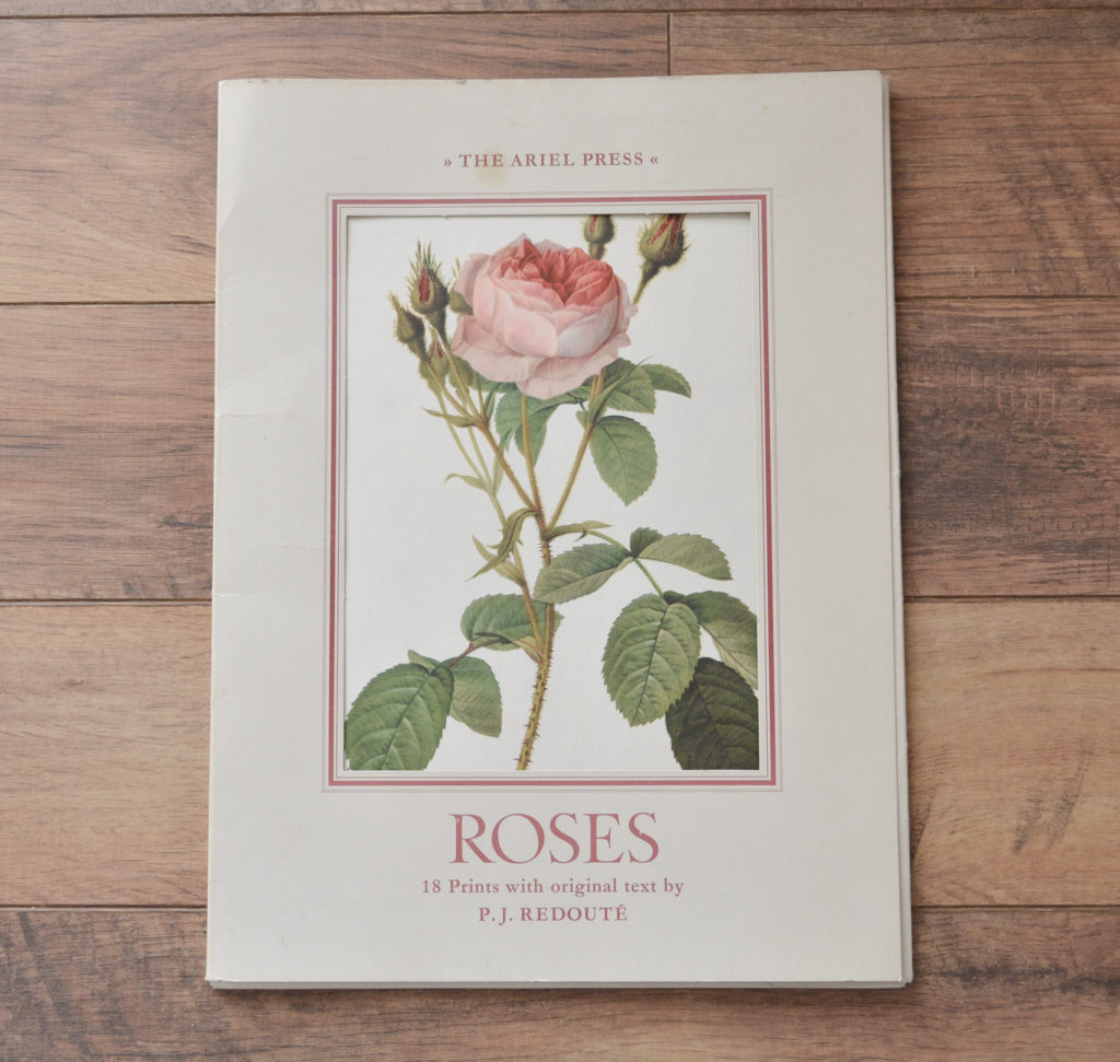 a collection of roses prints