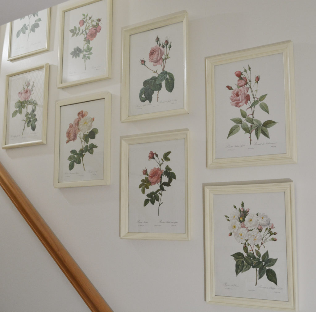 a gallery wall of vintage rose prints