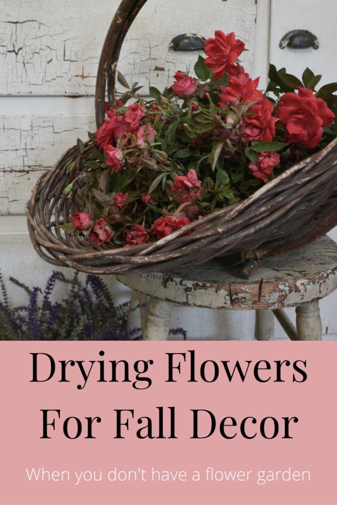 Drying flowers for fall decor