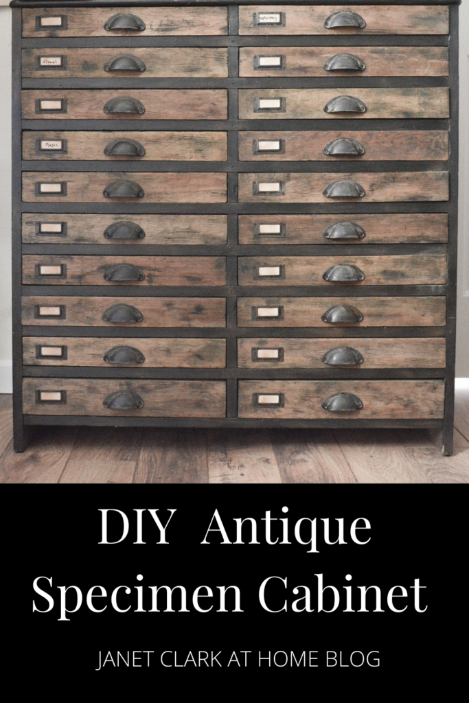 DIY Antique Specimen Cabinet